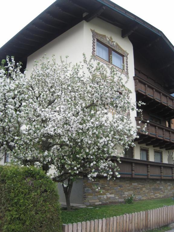 Gastehaus Braunegger Stumm Exteriér fotografie